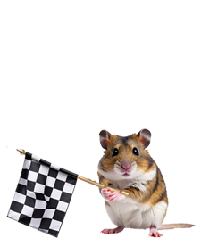 Guy that stands at finish